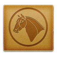 Sample Horse - Sample Image